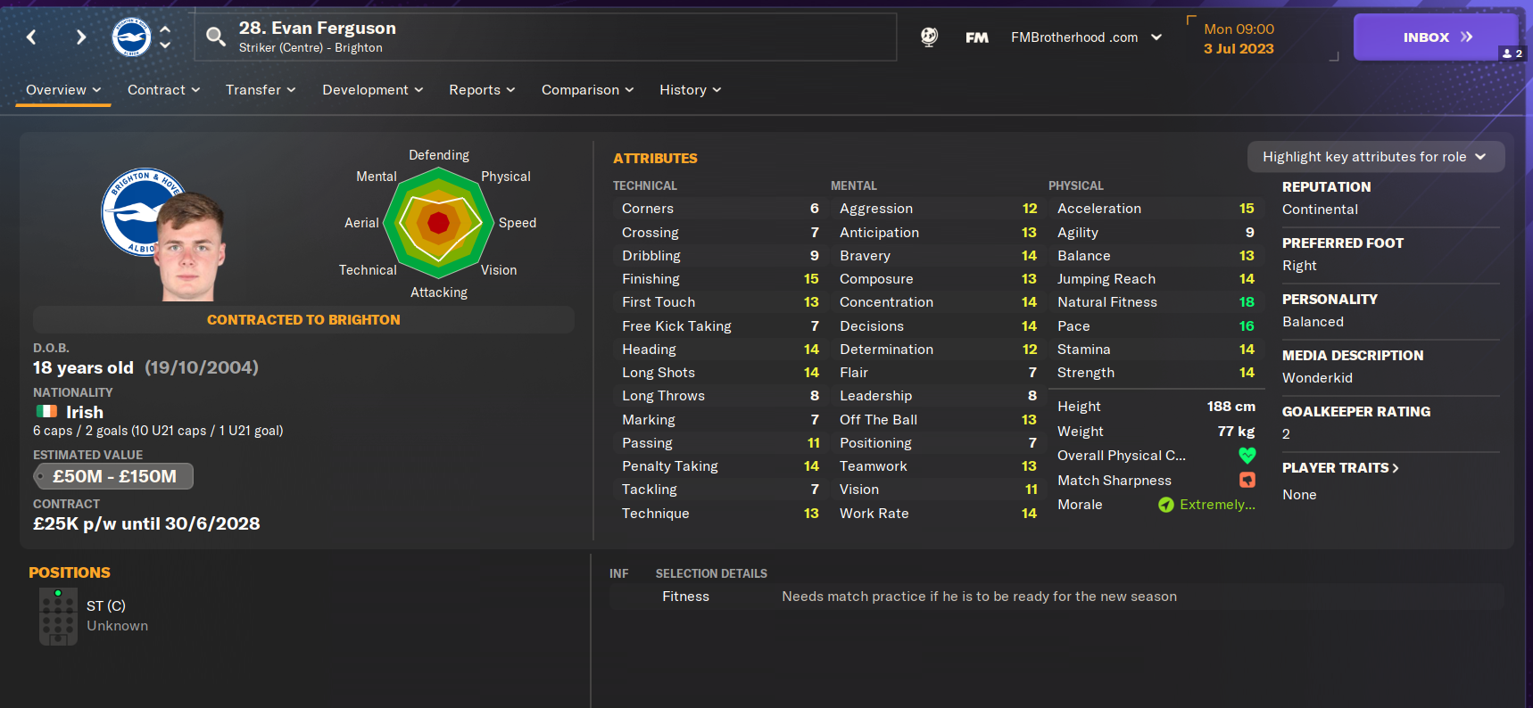 Everything Football Manager 2024: Wonderkids, Tactics & Guides •